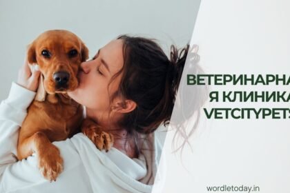 ветеринарная клиника vetcitypets